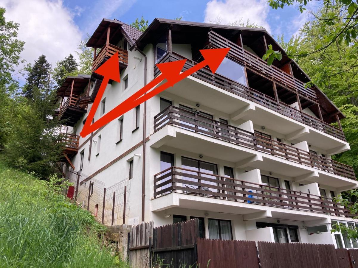 Lucas Duplex Leilighet Azuga Eksteriør bilde